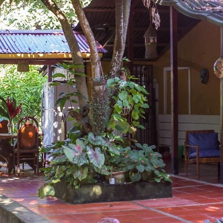 Hotel Mi Refugio Tayrona Santa Marta  Exteriér fotografie