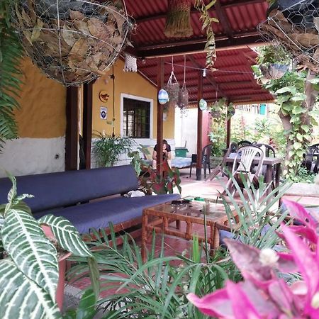 Hotel Mi Refugio Tayrona Santa Marta  Exteriér fotografie