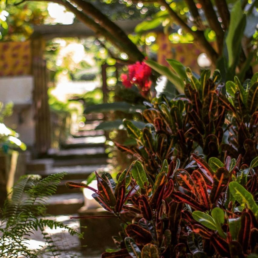 Hotel Mi Refugio Tayrona Santa Marta  Exteriér fotografie