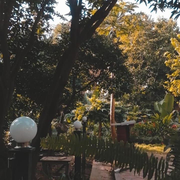 Hotel Mi Refugio Tayrona Santa Marta  Exteriér fotografie