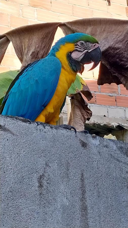 Hotel Mi Refugio Tayrona Santa Marta  Exteriér fotografie