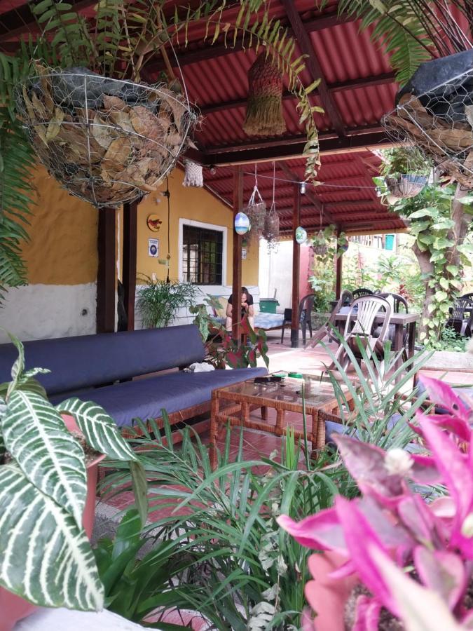 Hotel Mi Refugio Tayrona Santa Marta  Exteriér fotografie
