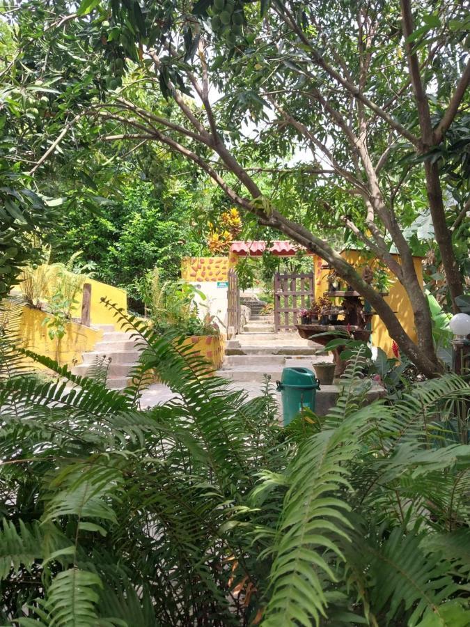 Hotel Mi Refugio Tayrona Santa Marta  Exteriér fotografie